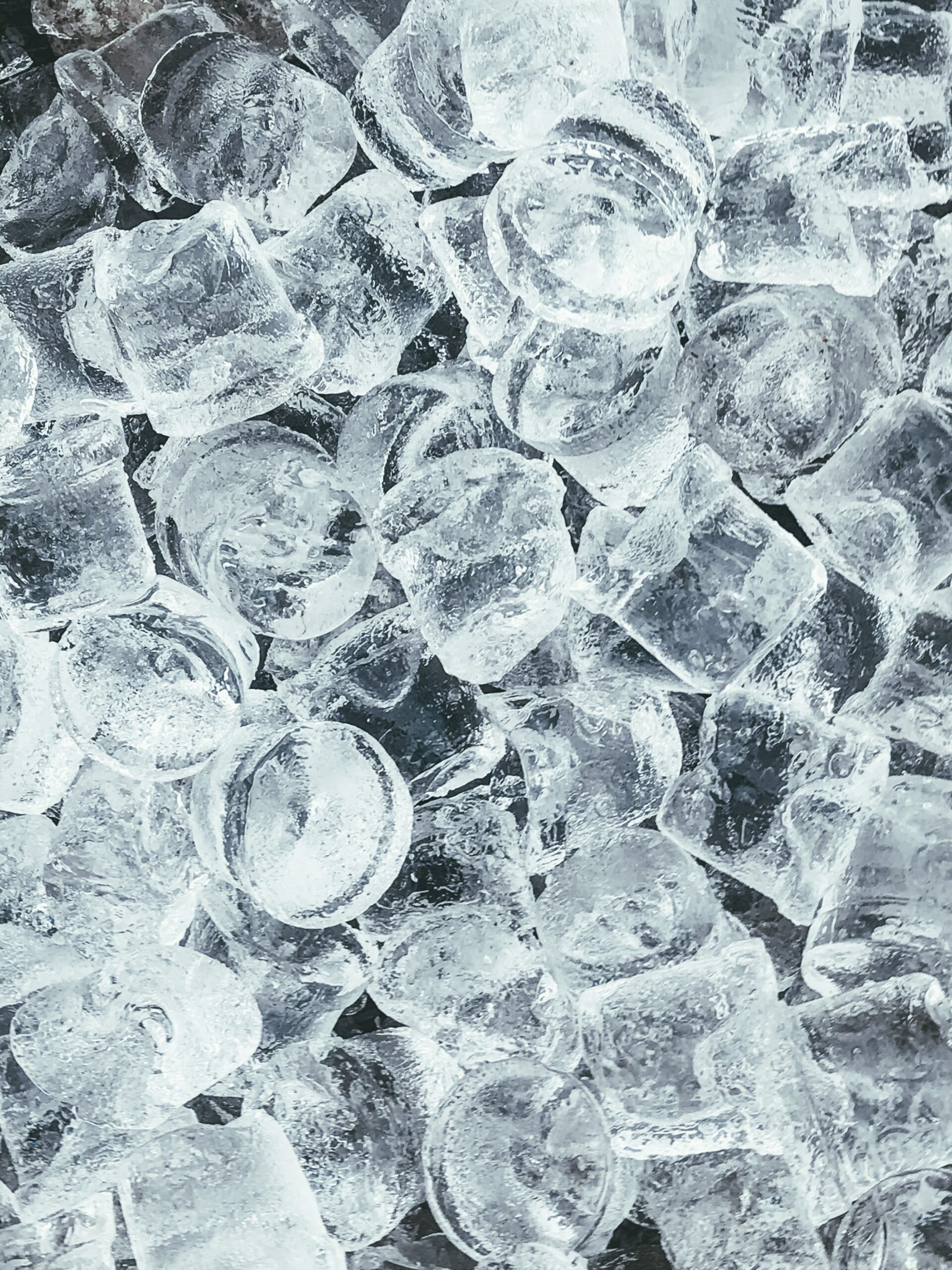Specializing in Refrigerated Transport in TN Specializing in Refrigerated Transport in TN